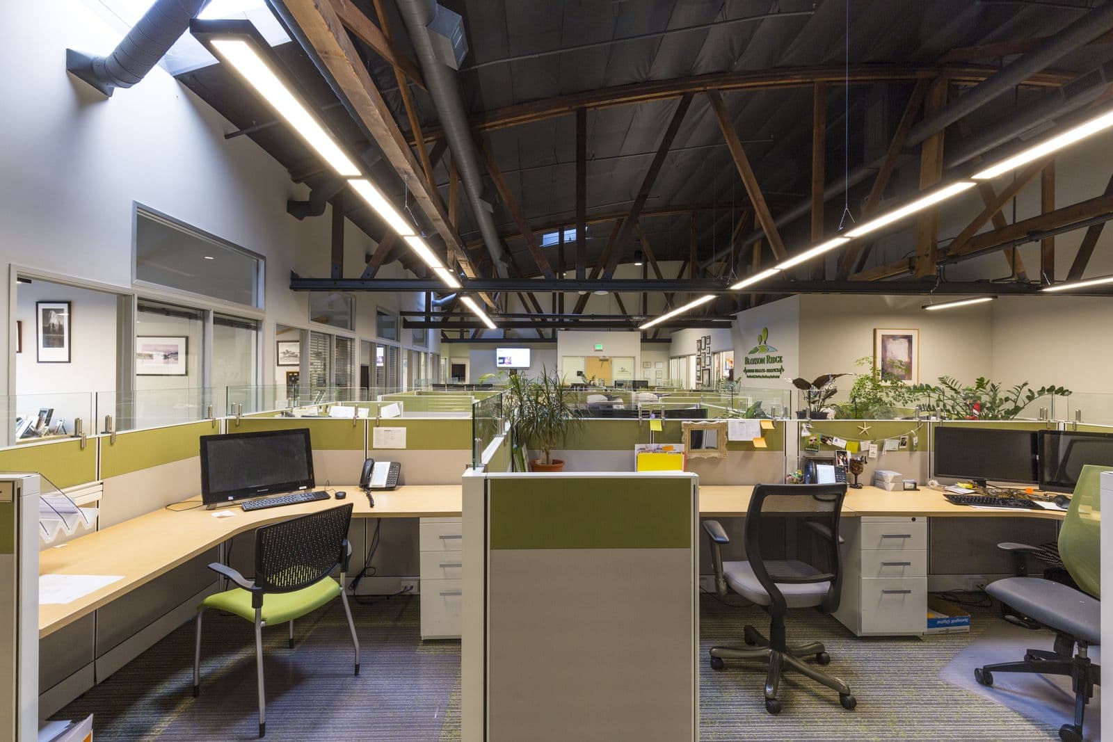 Open office with linear pendant lighting under wood-truss ceiling
