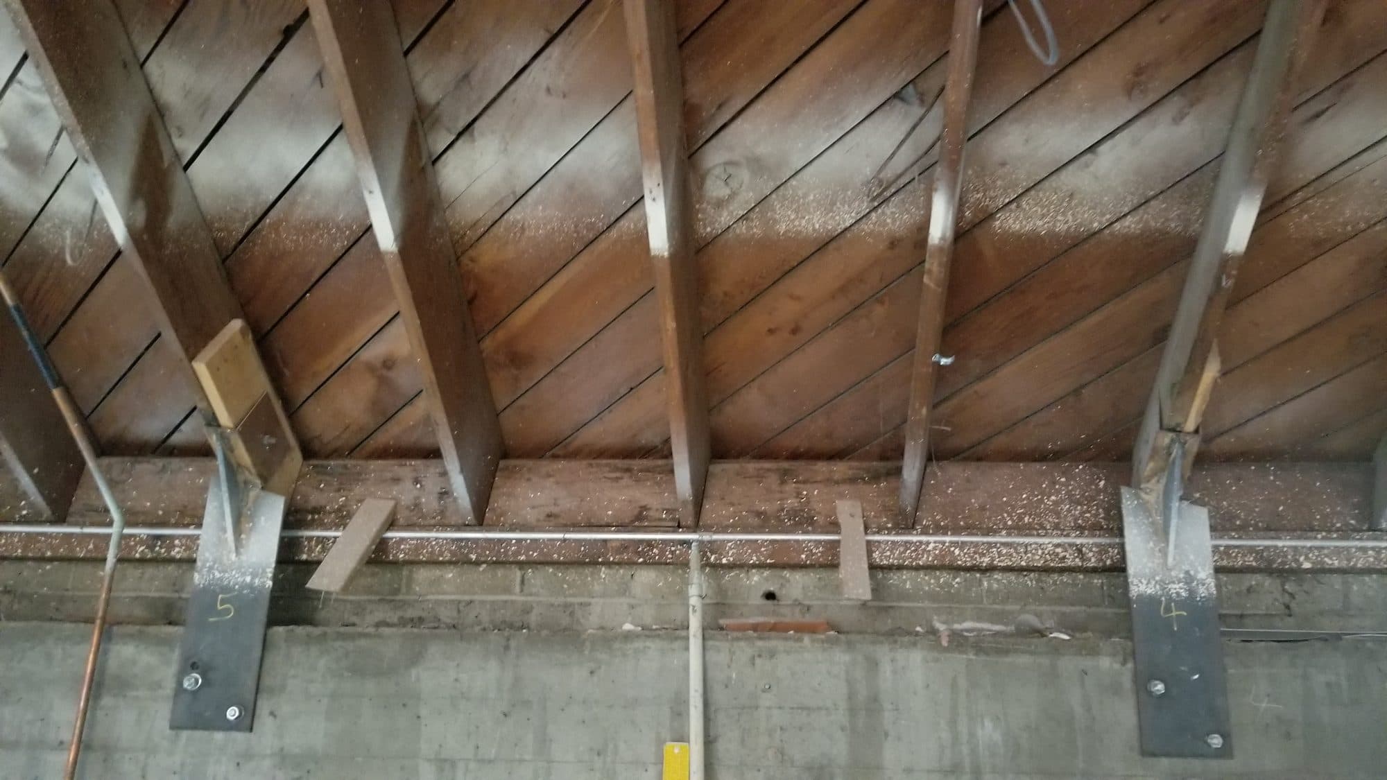 Steel tie brackets anchoring the roof framing to the concrete wall