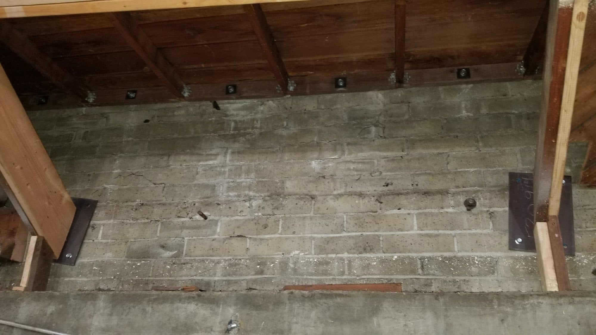 Healthcare office build-out, construction progress