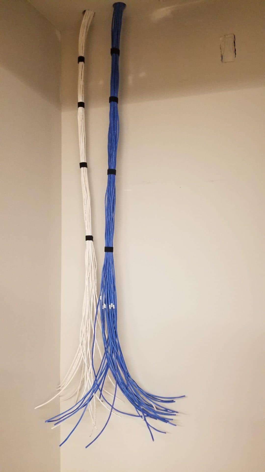 Structured data cabling home runs dressed and labeled at the wall