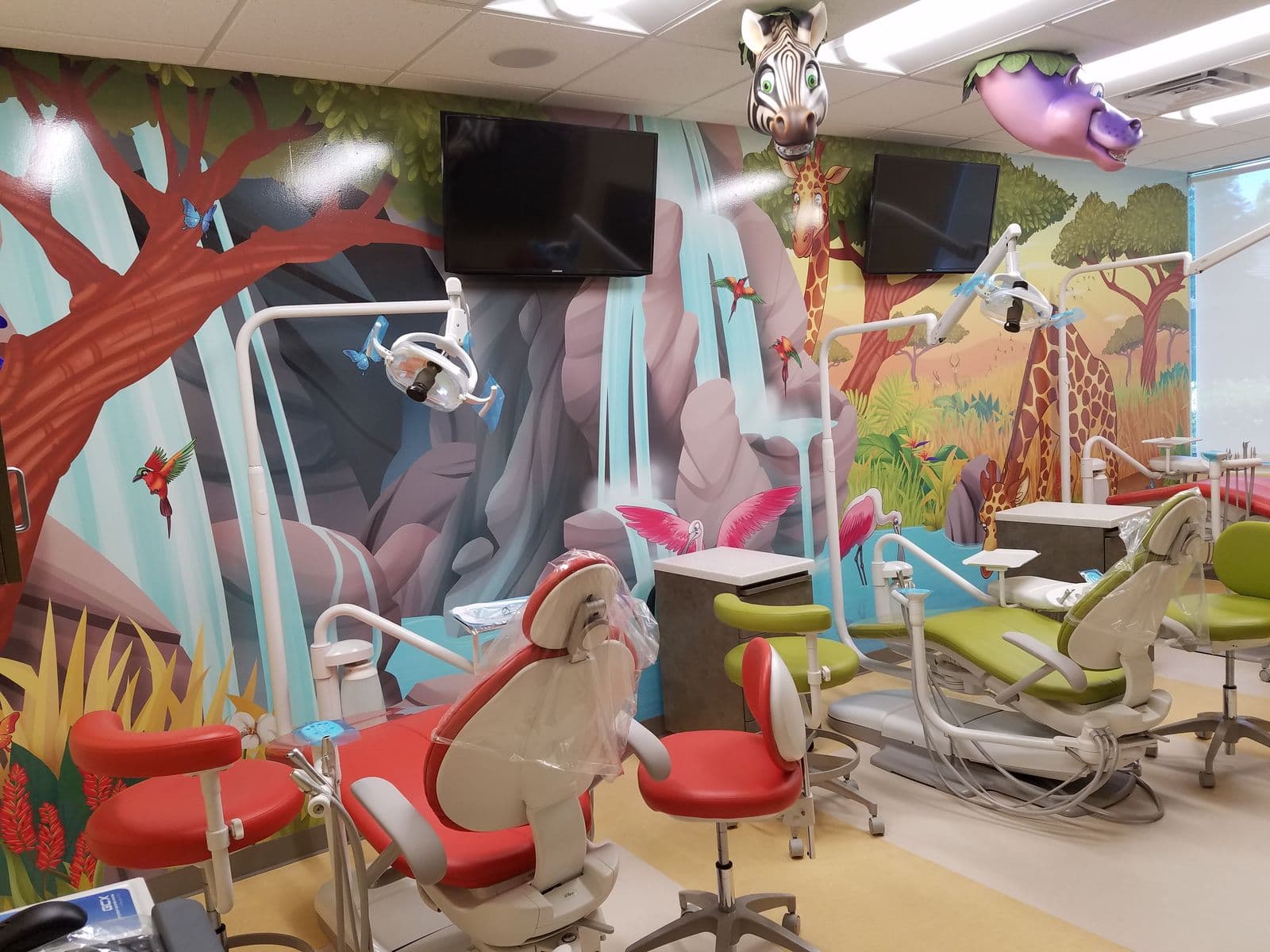 Open orthodontic bay with themed murals